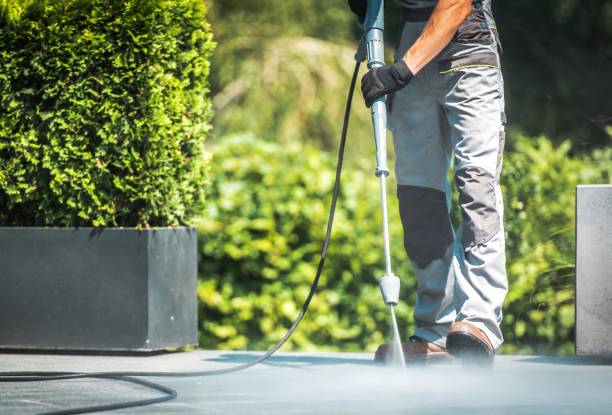 Best Spring Cleaning  in Conroe, TX